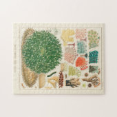  Great Barrier Reef van Australia Corals Legpuzzel (Horizontaal)