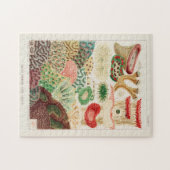 Great Barrier Reef van Australia Corals Legpuzzel (Horizontaal)