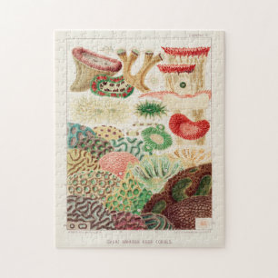 Great Barrier Reef van Australia Corals Legpuzzel