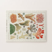  Great Barrier Reef van Australia Corals Legpuzzel (Horizontaal)