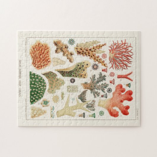  Great Barrier Reef van Australia Corals Legpuzzel (Horizontaal)