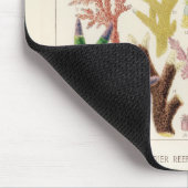 Great Barrier Reef van Australia Corals Muismat (Hoek)