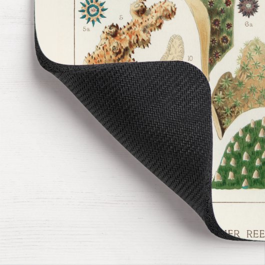  Great Barrier Reef van Australia Corals Muismat (Hoek)