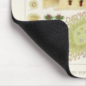  Great Barrier Reef van Australia Corals Muismat (Hoek)