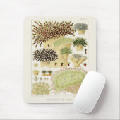  Great Barrier Reef van Australia Corals Muismat (Met muis)