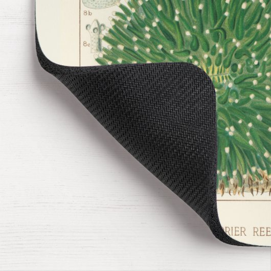  Great Barrier Reef van Australia Corals Muismat (Hoek)