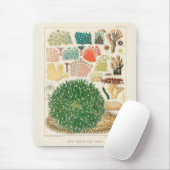  Great Barrier Reef van Australia Corals Muismat (Met muis)