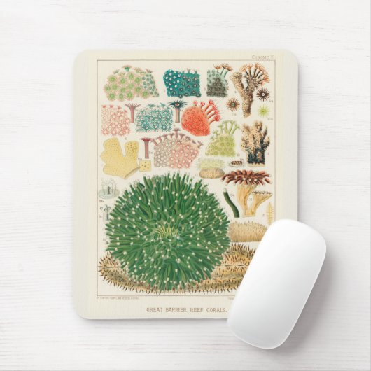 Great Barrier Reef van Australia Corals Muismat (Met muis)