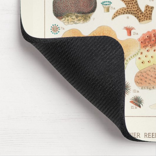 Great Barrier Reef van Australia Corals Muismat (Hoek)