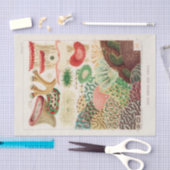  Great Barrier Reef van Australia Corals Tissuepapier (Craft)