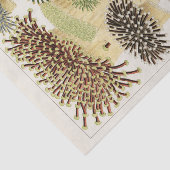 Great Barrier Reef van Australia Corals Tissuepapier (Detail)