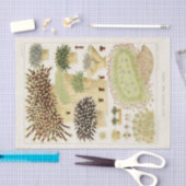 Great Barrier Reef van Australia Corals Tissuepapier (Craft)