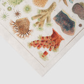 Great Barrier Reef van Australia Corals Tissuepapier (Detail)