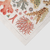 Great Barrier Reef van Australia Corals Tissuepapier (Detail)