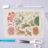 Great Barrier Reef van Australia Corals Tissuepapier (Craft)