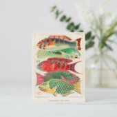  Great Barrier Reef van Australia Fishes Briefkaart (Staand voorkant)