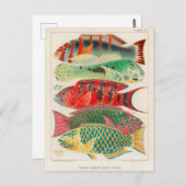  Great Barrier Reef van Australia Fishes Briefkaart (Voorkant / Achterkant)