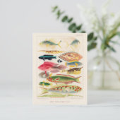  Great Barrier Reef van Australia Fishes Briefkaart (Staand voorkant)
