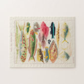 Great Barrier Reef van Australia Fishes Legpuzzel (Horizontaal)