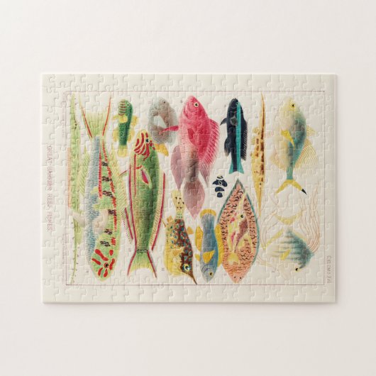  Great Barrier Reef van Australia Fishes Legpuzzel (Horizontaal)