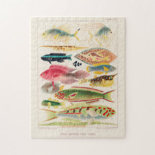 Great Barrier Reef van Australia Fishes Legpuzzel