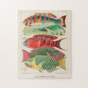 Great Barrier Reef van Australia Fishes Legpuzzel