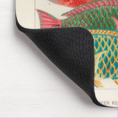  Great Barrier Reef van Australia Fishes Muismat (Hoek)