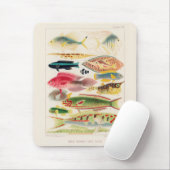 Great Barrier Reef van Australia Fishes Muismat (Met muis)