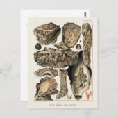 Great Barrier Reef van Australia Oysters Briefkaart (Voorkant / Achterkant)