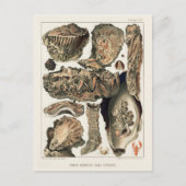  Great Barrier Reef van Australia Oysters Briefkaart (Voorkant)