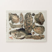 Great Barrier Reef van Australia Oysters Legpuzzel (Horizontaal)