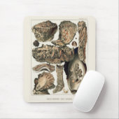 Great Barrier Reef van Australia Oysters Muismat (Met muis)