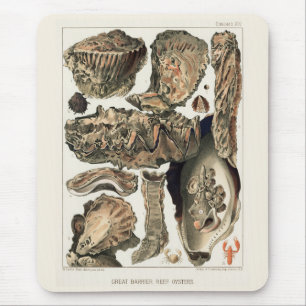 Great Barrier Reef van Australia Oysters Muismat