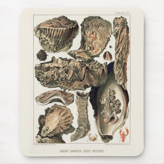 Great Barrier Reef van Australia Oysters Muismat (Voorkant)