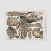  Great Barrier Reef van Australia Oysters Tissuepapier (Voorkant)