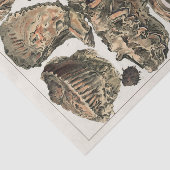  Great Barrier Reef van Australia Oysters Tissuepapier (Detail)