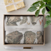  Great Barrier Reef van Australia Oysters Tissuepapier (Geschenk)