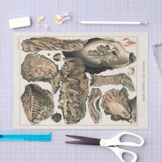  Great Barrier Reef van Australia Oysters Tissuepapier (Craft)