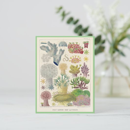 Great Barrier Reef van Australië, Alcyonaria, Briefkaart (Staand voorkant)