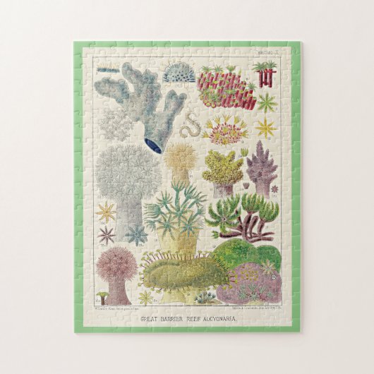 Great Barrier Reef van Australië, Alcyonaria, Legpuzzel (Verticaal)