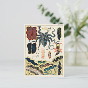 Great Barrier Reef van Australië Briefkaart