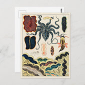 Great Barrier Reef van Australië Briefkaart (Voorkant / Achterkant)