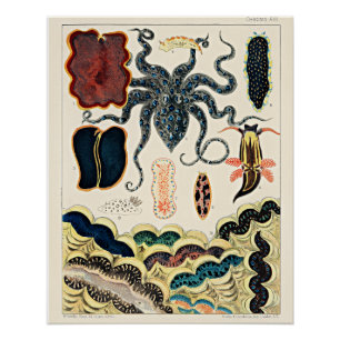 Great Barrier Reef van Australië Perfect Poster