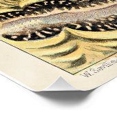 Great Barrier Reef van Australië Perfect Poster (Hoek)