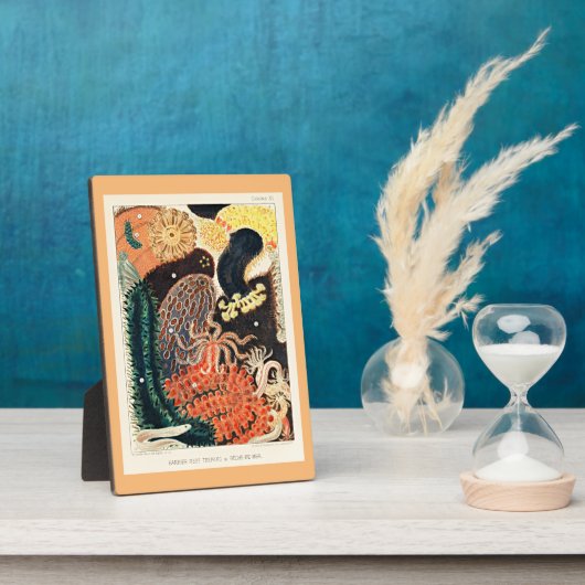 Great Barrier Reef van Australië, Trepang, Fotoplaat (Zijkant)