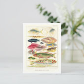 Great Barrier Reef Vis  Briefkaart (Staand voorkant)