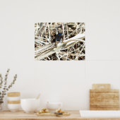 Great Basin Fence Hagedis bij Joshua Tree Poster (Keuken)