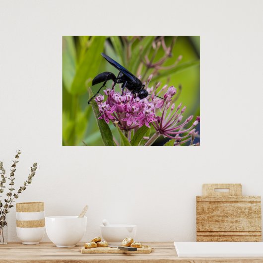 Great Black Wasp Poster (Keuken)