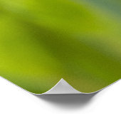 Great Black Wasp Poster (Hoek)