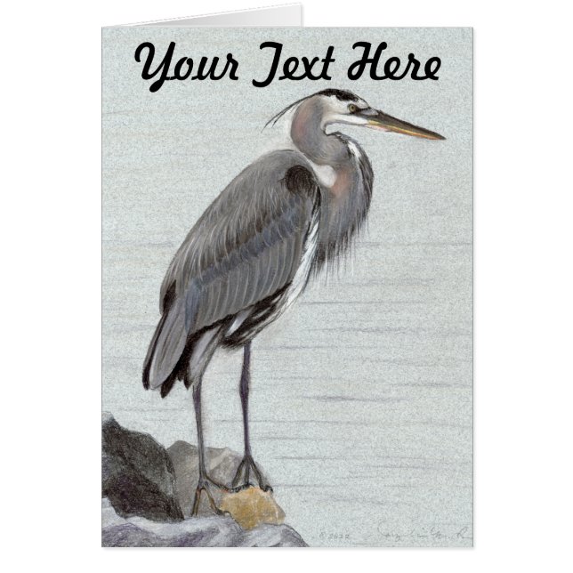 Great Blue Heron (Voorkant)